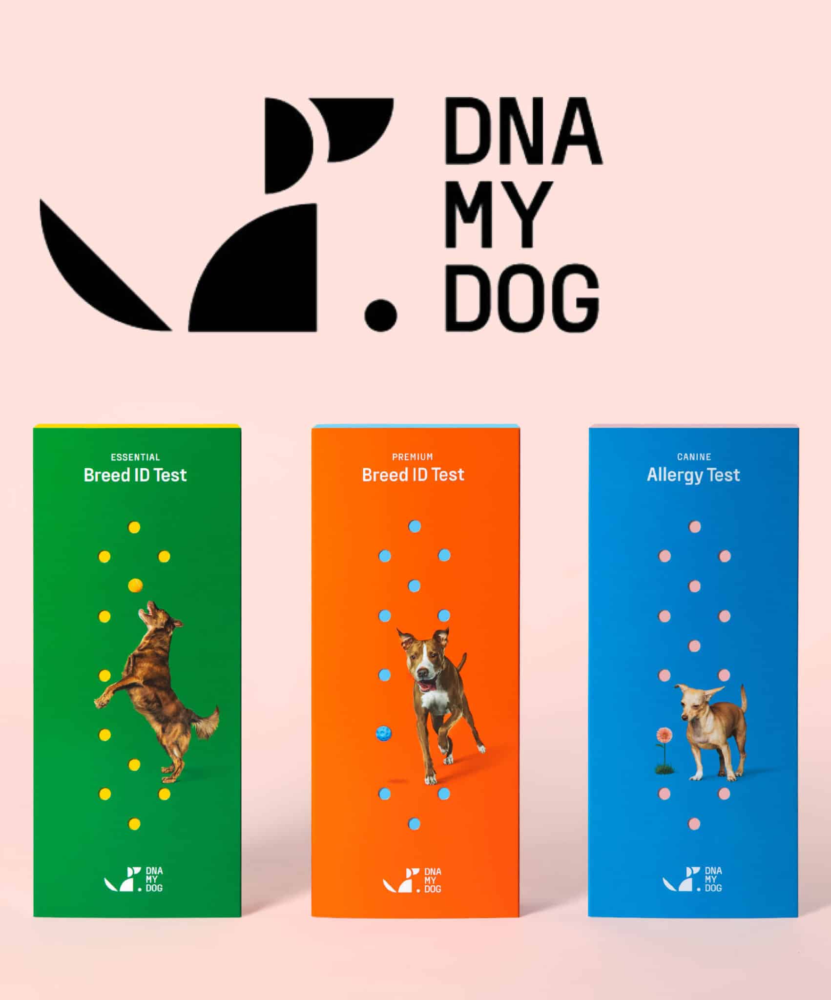 Dna my sale dog breed